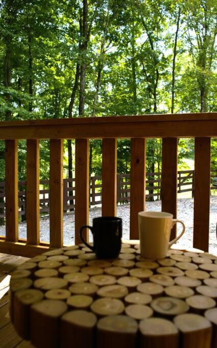 Villa Sugar Bear Cabin With Boat Parking 5 Mins To State Park & Golf à Burkesville Extérieur photo